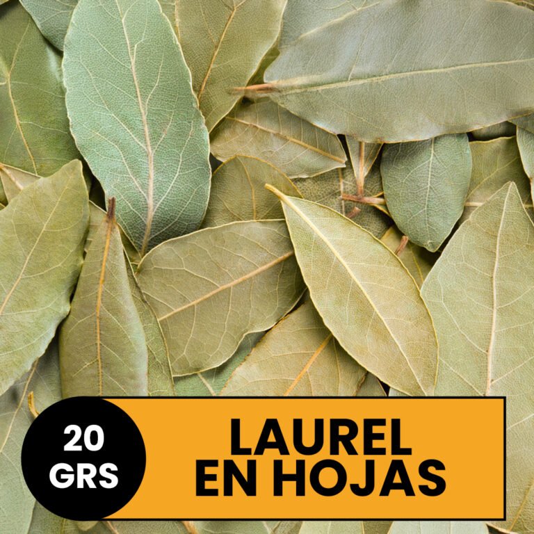 Laurel en Hojas