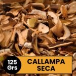Callampa Seca