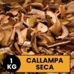 Callampa Seca - Imagen 2