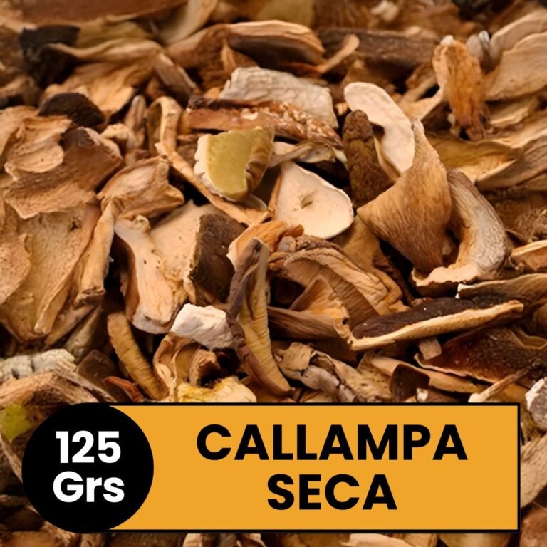 Callampa Seca
